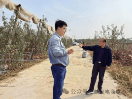 助农增收促振兴 陕西扶风电商在行动