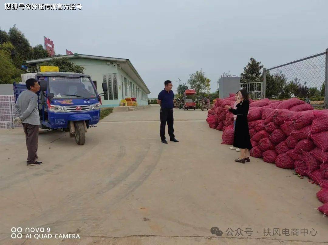 助农增收促振兴 陕西扶风电商在行动