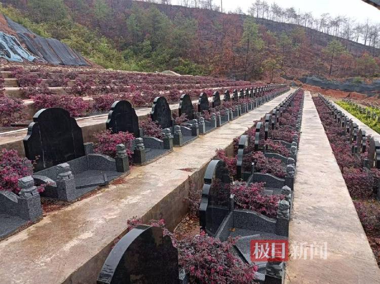 福建长汀县半山腰上现数百个违规墓穴：违建不止一处，单个售价3万多