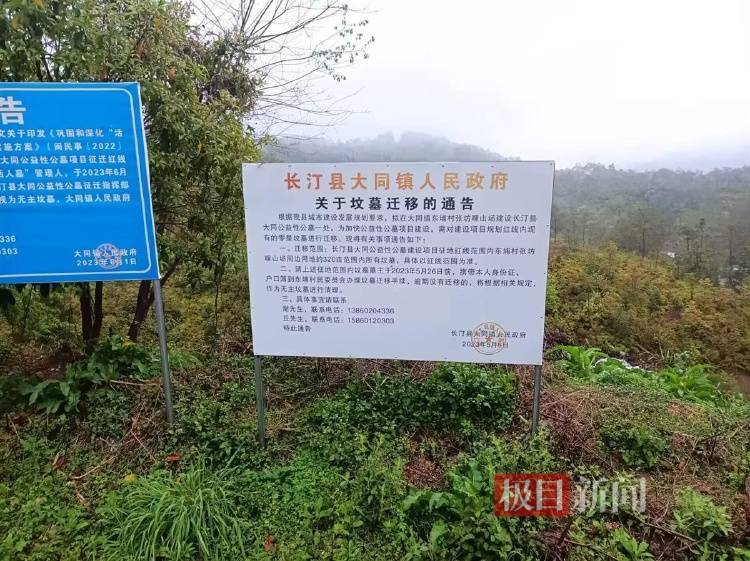福建长汀县半山腰上现数百个违规墓穴：违建不止一处，单个售价3万多